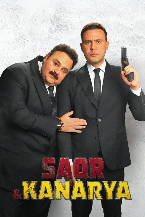 صقر وكناريا