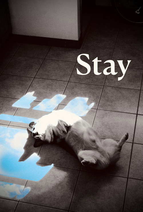 Stay