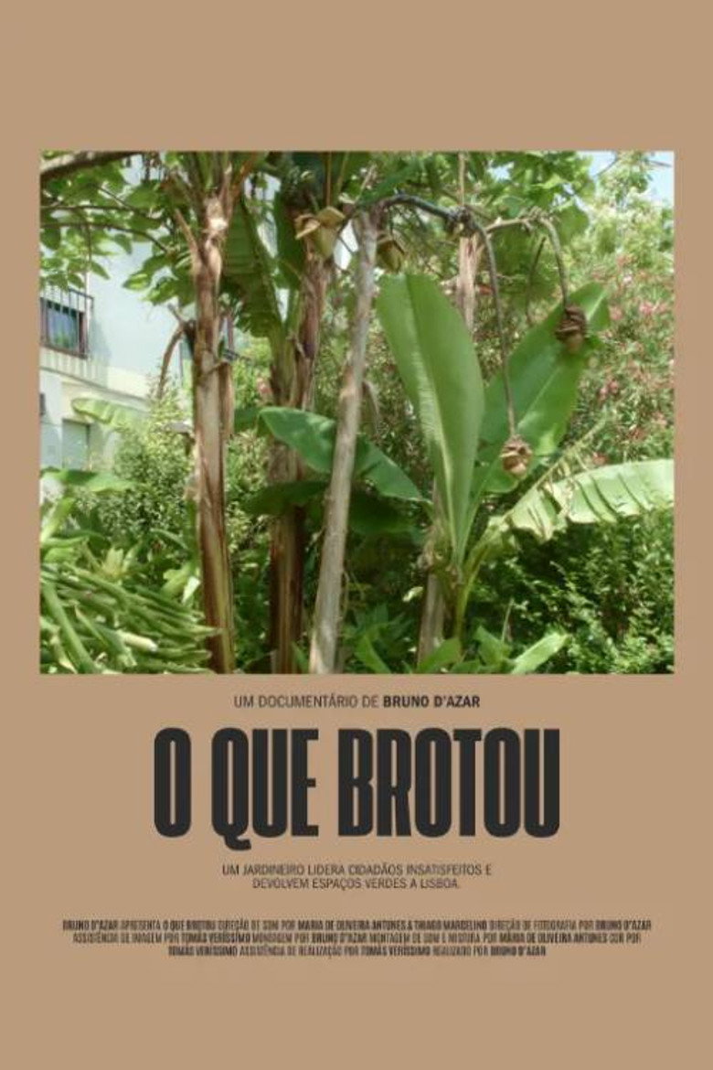 O Que Brotou