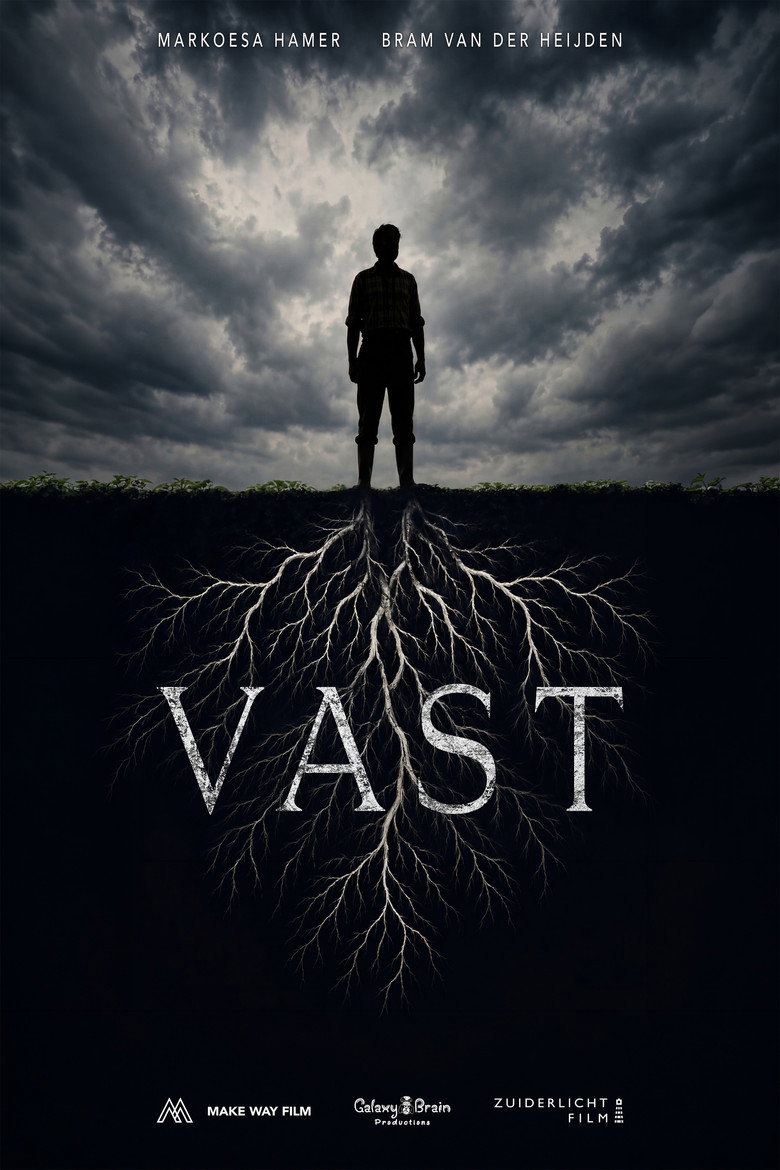 Vast