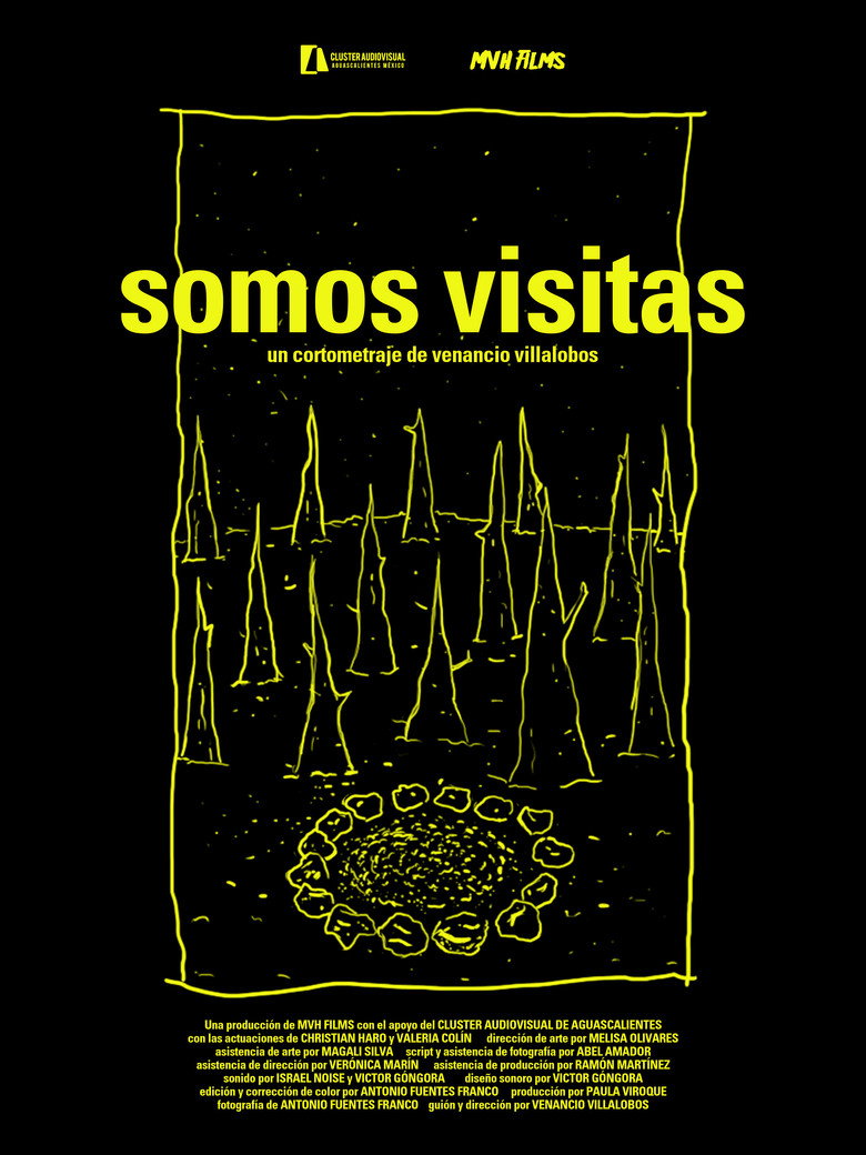 Somos visitas